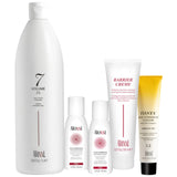 Aloxxi TONES® Small Salon Opener Kit
